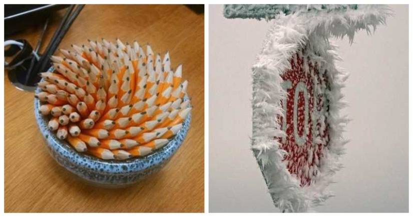 22 of the picture of Paradise for perfectionists 22 of the picture of Paradise for perfectionists