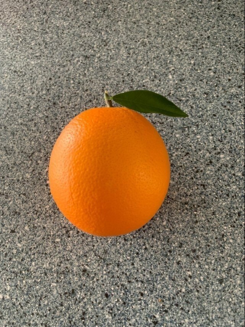 22 of the picture of Paradise for perfectionists 22 of the picture of Paradise for perfectionists