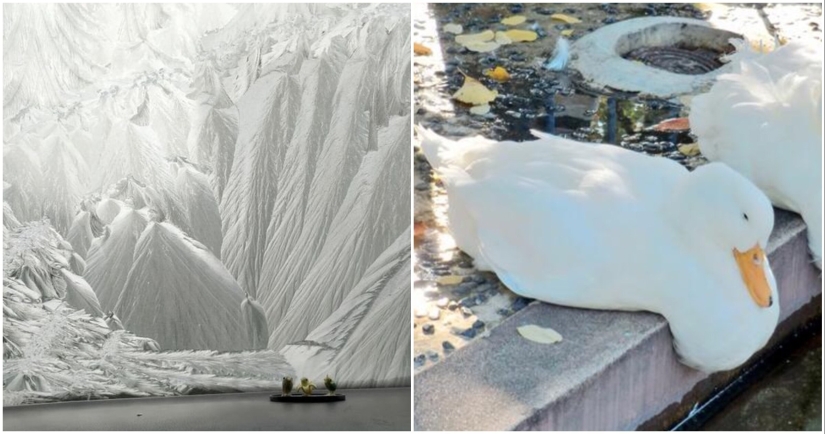 22 people who don't need photoshop to take a stunning photo 22 people who don't need photoshop to take a stunning photo