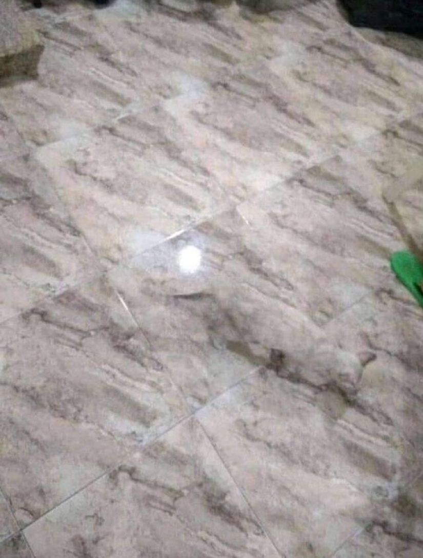 22 people who don't need photoshop to take a stunning photo 22 people who don't need photoshop to take a stunning photo