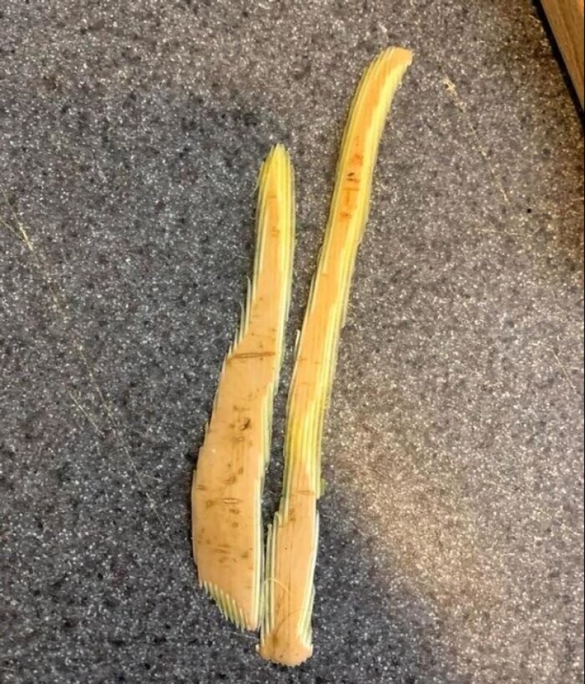 22 people who don't need photoshop to take a stunning photo 22 people who don't need photoshop to take a stunning photo