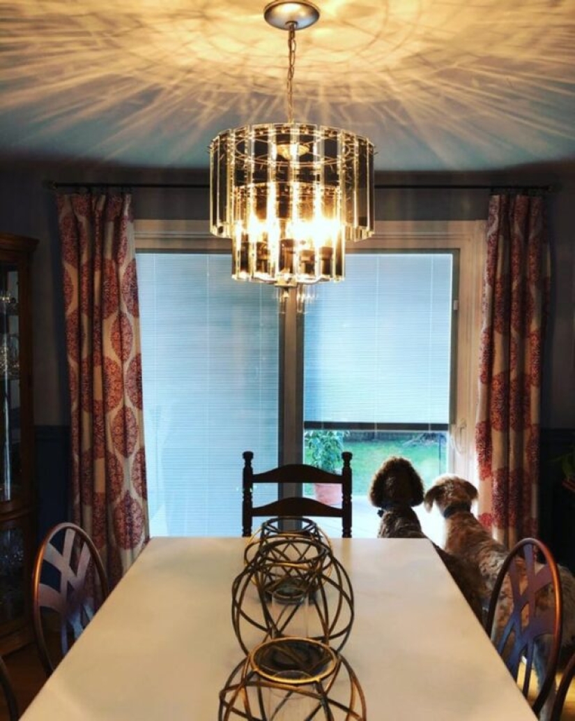 22+ people who "pumped" comfort with their own hands 22+ people who "pumped" comfort with their own hands