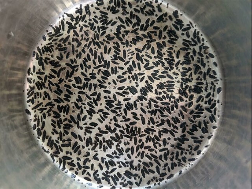 22 people who realized that cooking is not their thing 22 people who realized that cooking is not their thing