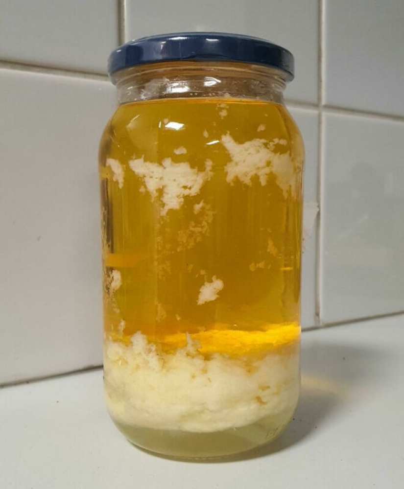 22 people who realized that cooking is not their thing 22 people who realized that cooking is not their thing