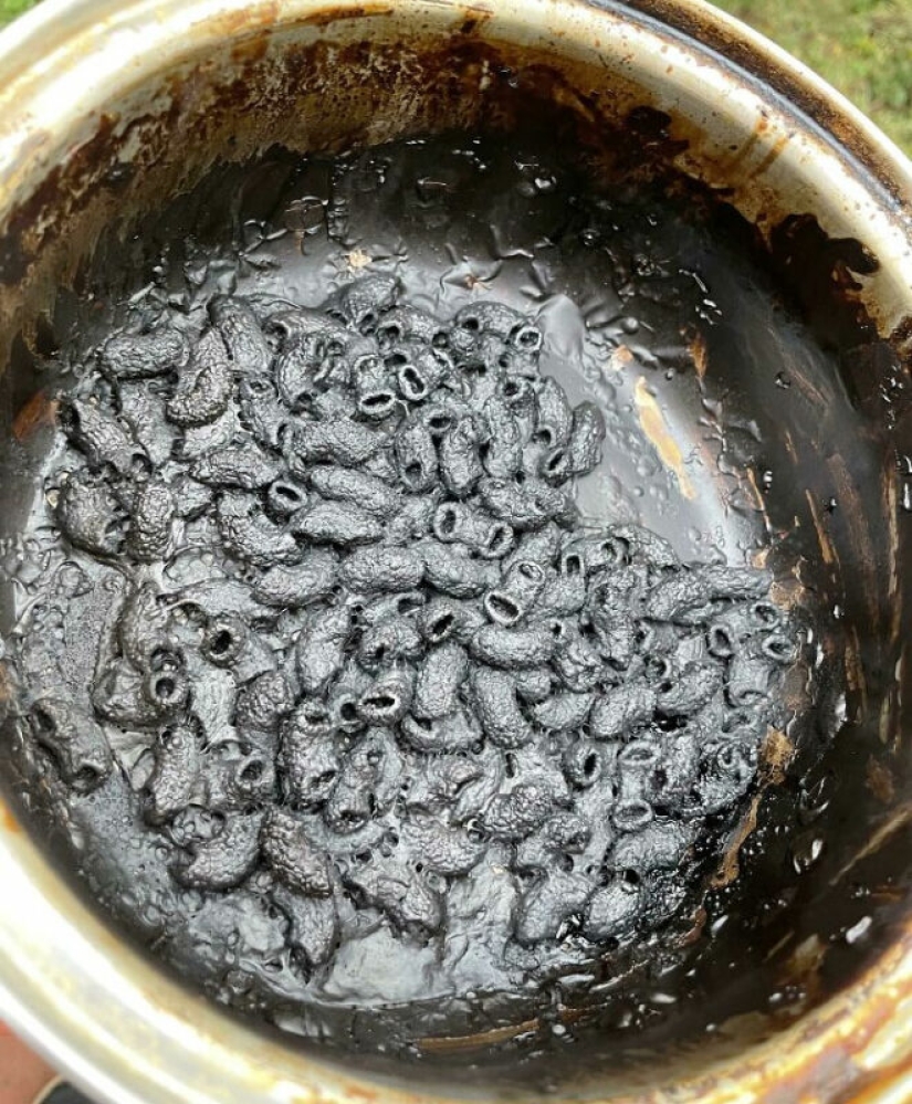 22 people who realized that cooking is not their thing 22 people who realized that cooking is not their thing