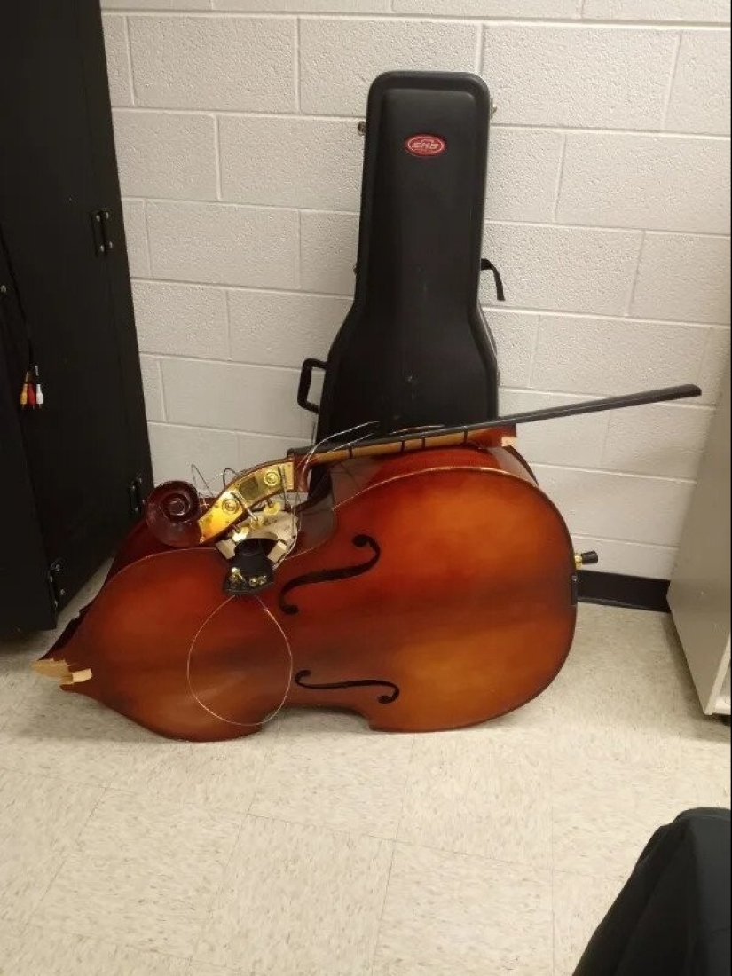 22 personas que tuvieron la suerte de hacer hallazgos increíbles 22 personas que tuvieron la suerte de hacer hallazgos increíbles