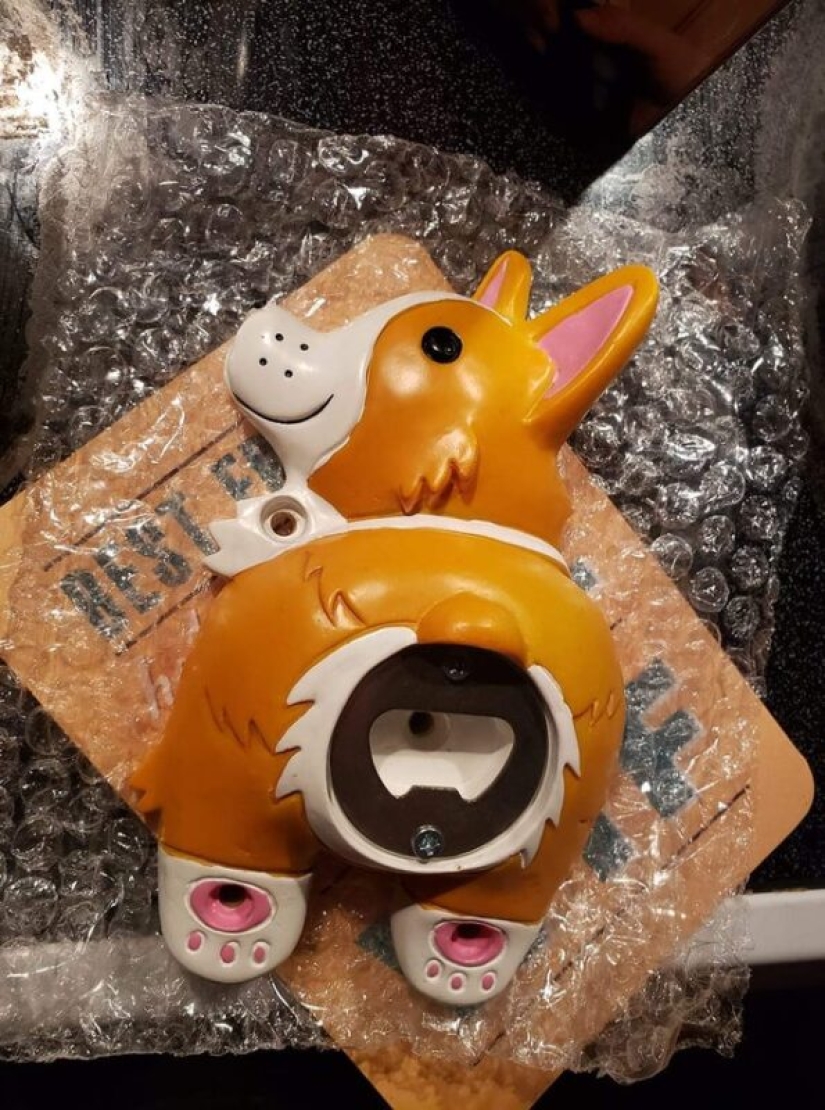 22 photos about what happens when bad taste is combined with good performance