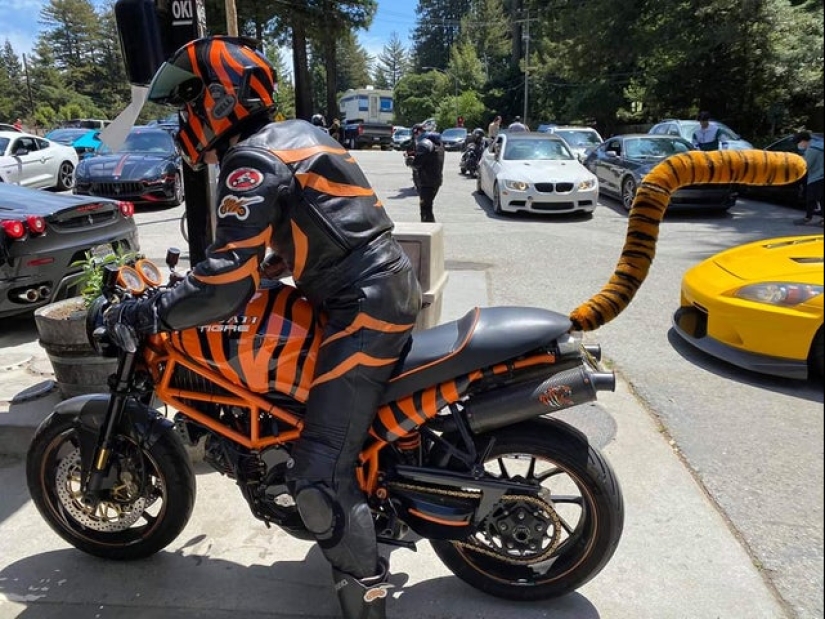 22 photos about what happens when bad taste is combined with good performance