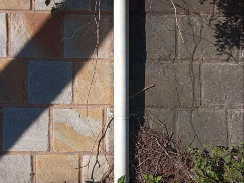 22 photos, after viewing which your inner perfectionist will rejoice