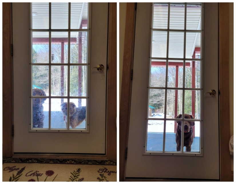 22 photos, after viewing which your inner perfectionist will rejoice