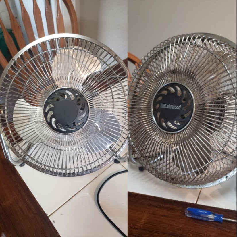 22 photos, after viewing which your inner perfectionist will rejoice