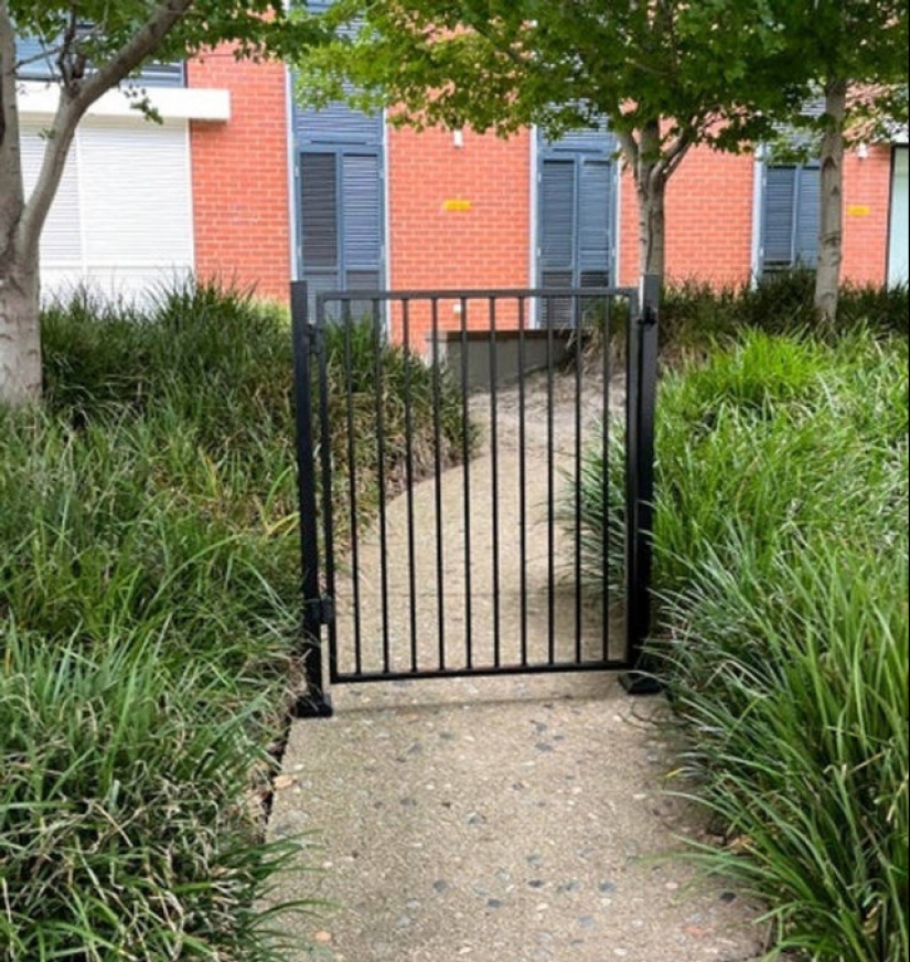 22 photos from people who went against the rules and screwed up big