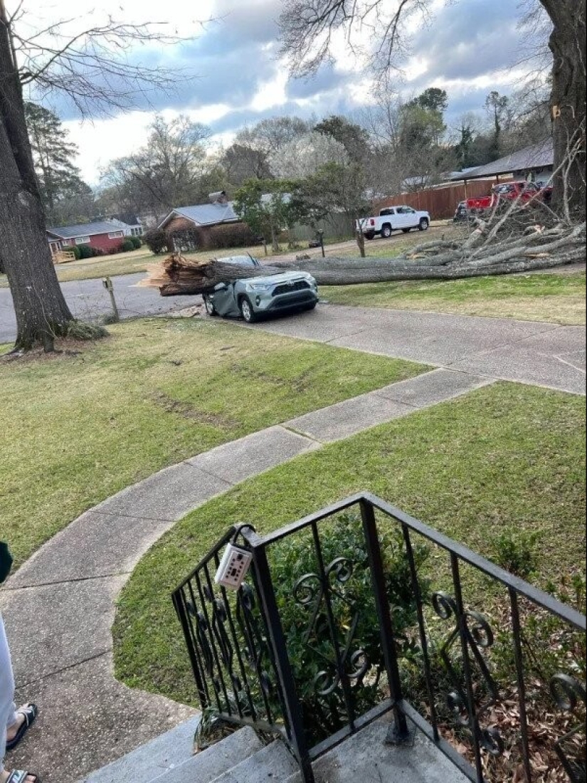 22 photos from those who had a bad day