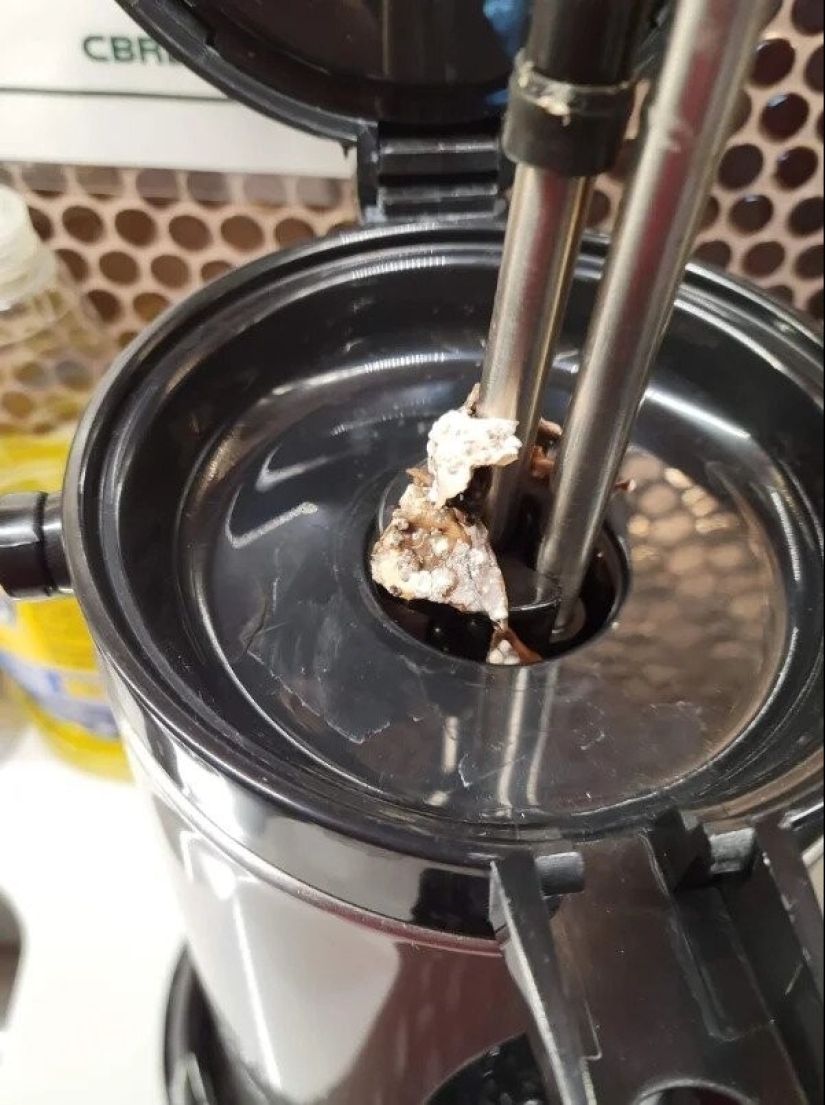 22 photos from those who had a bad day