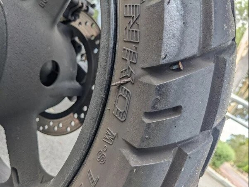 22 photos from those who had a bad day