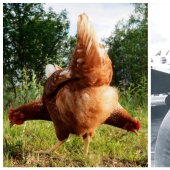 22 photos in which some strange things are happening