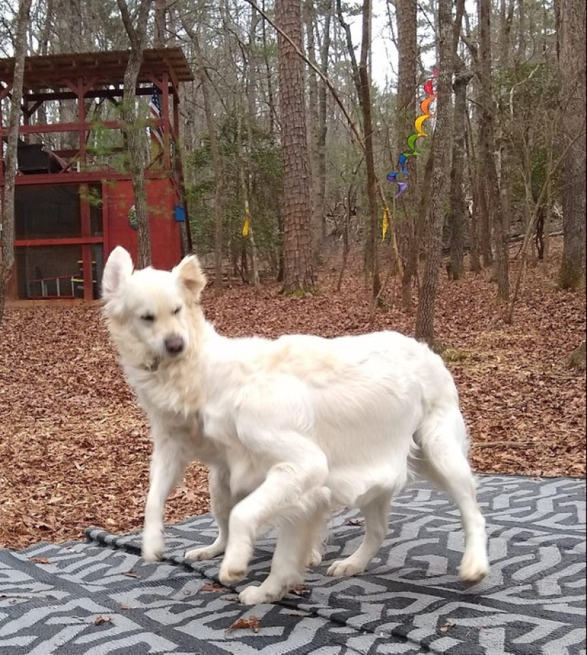 22 photos in which some strange things are happening 22 photos in which some strange things are happening