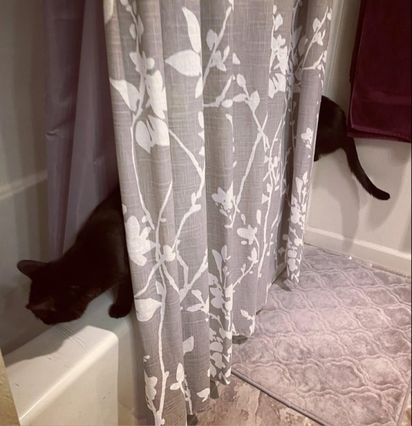 22 photos in which some strange things are happening 22 photos in which some strange things are happening