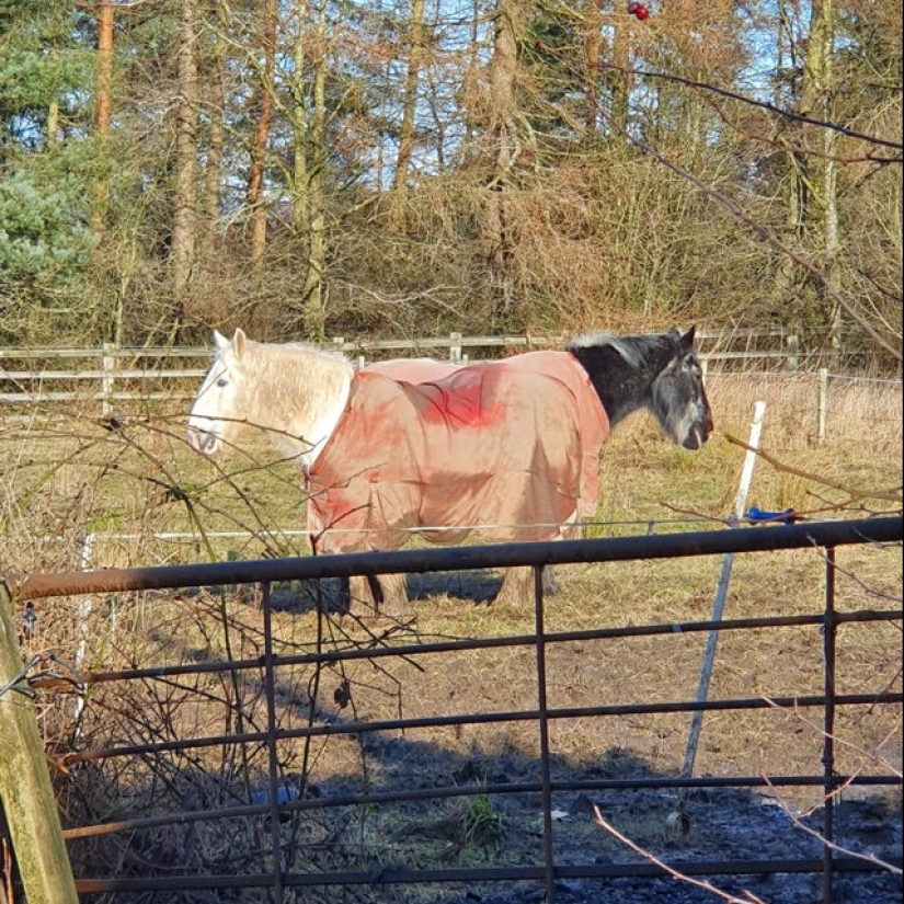 22 photos in which some strange things are happening 22 photos in which some strange things are happening