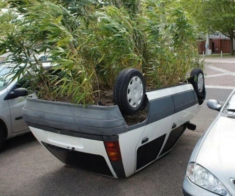 22 photos in which something inexplicable, but very interesting, is happening 22 photos in which something inexplicable, but very interesting, is happening