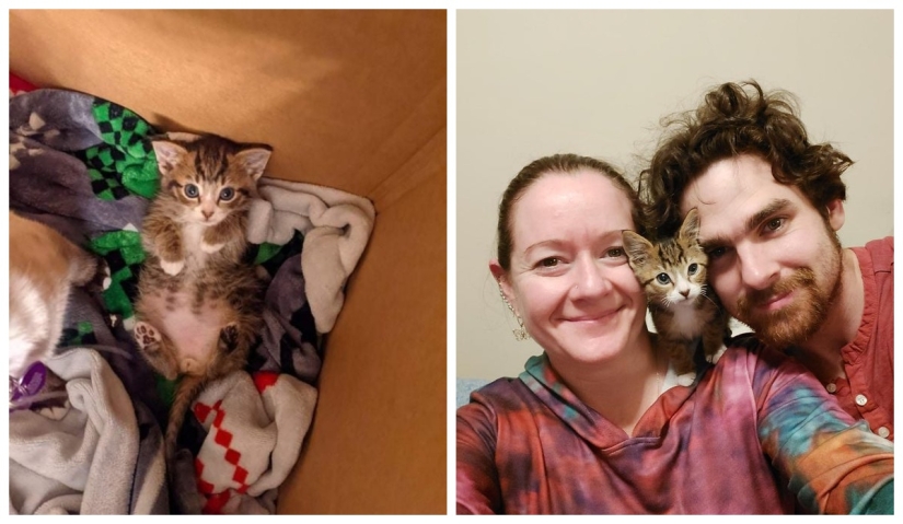 22 photos of animals before and after people sheltered them 22 photos of animals before and after people sheltered them