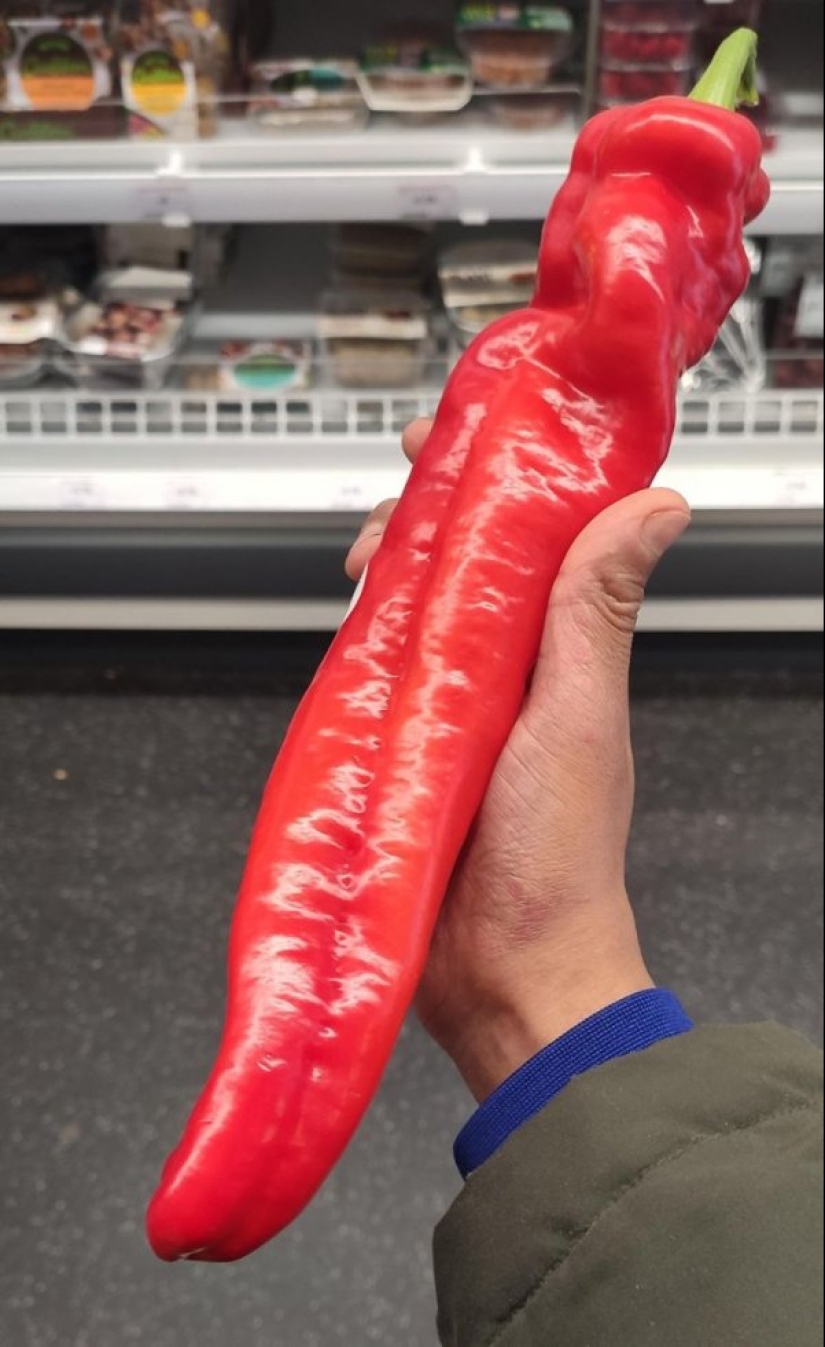 22 photos of huge things that prove that everything is known in comparison 22 photos of huge things that prove that everything is known in comparison