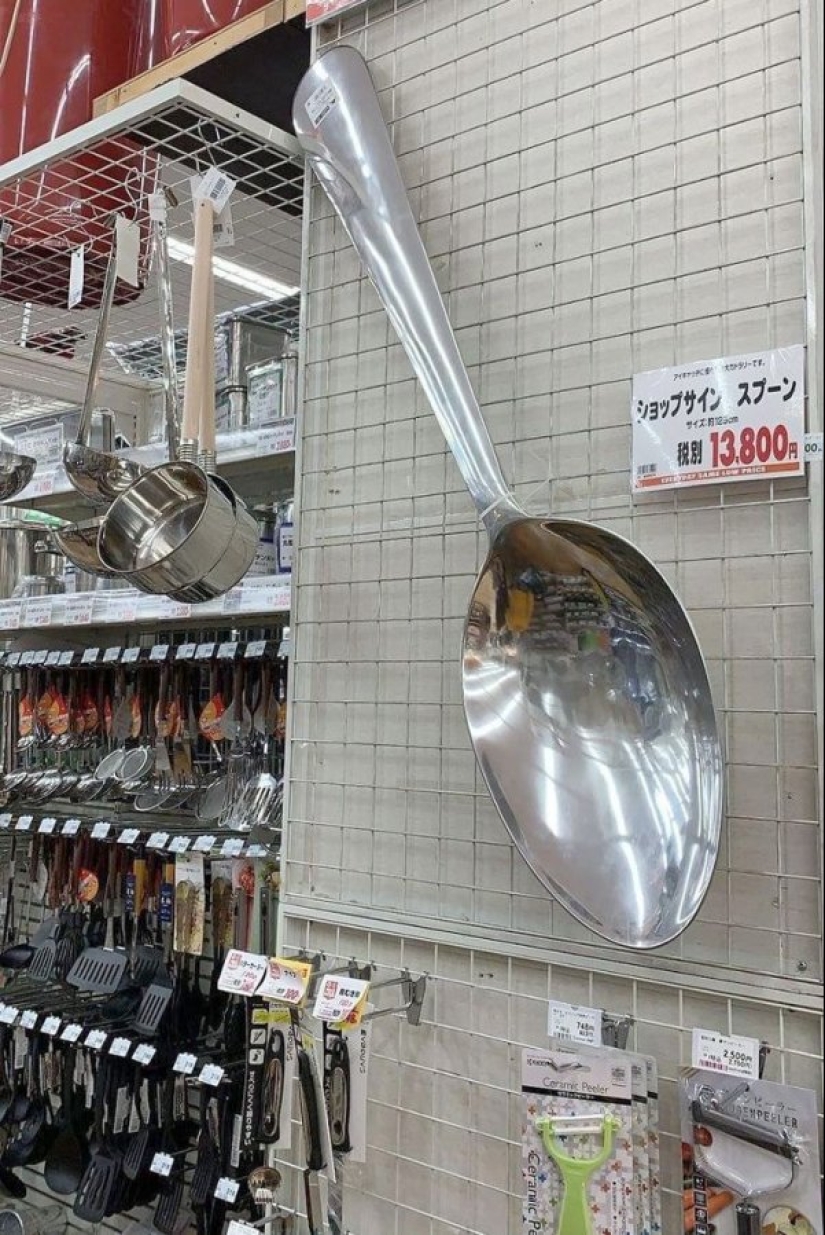 22 photos of huge things that prove that everything is known in comparison 22 photos of huge things that prove that everything is known in comparison