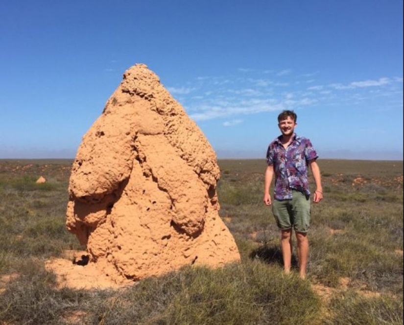 22 photos of huge things that prove that everything is known in comparison 22 photos of huge things that prove that everything is known in comparison