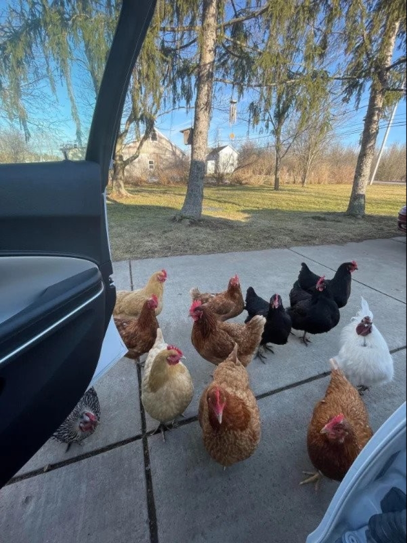 22 photos of interesting things that you won't see every day 22 photos of interesting things that you won't see every day