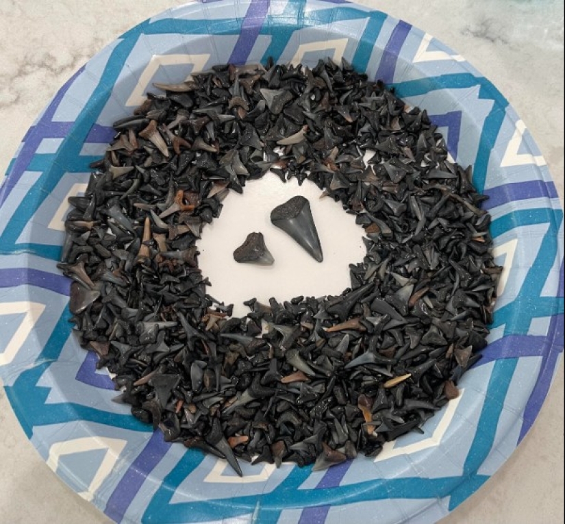 22 photos of interesting things that you won't see every day 22 photos of interesting things that you won't see every day