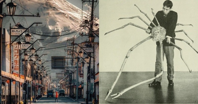 22 photos of really gigantic things that can cause an attack of megalophobia 22 photos of really gigantic things that can cause an attack of megalophobia