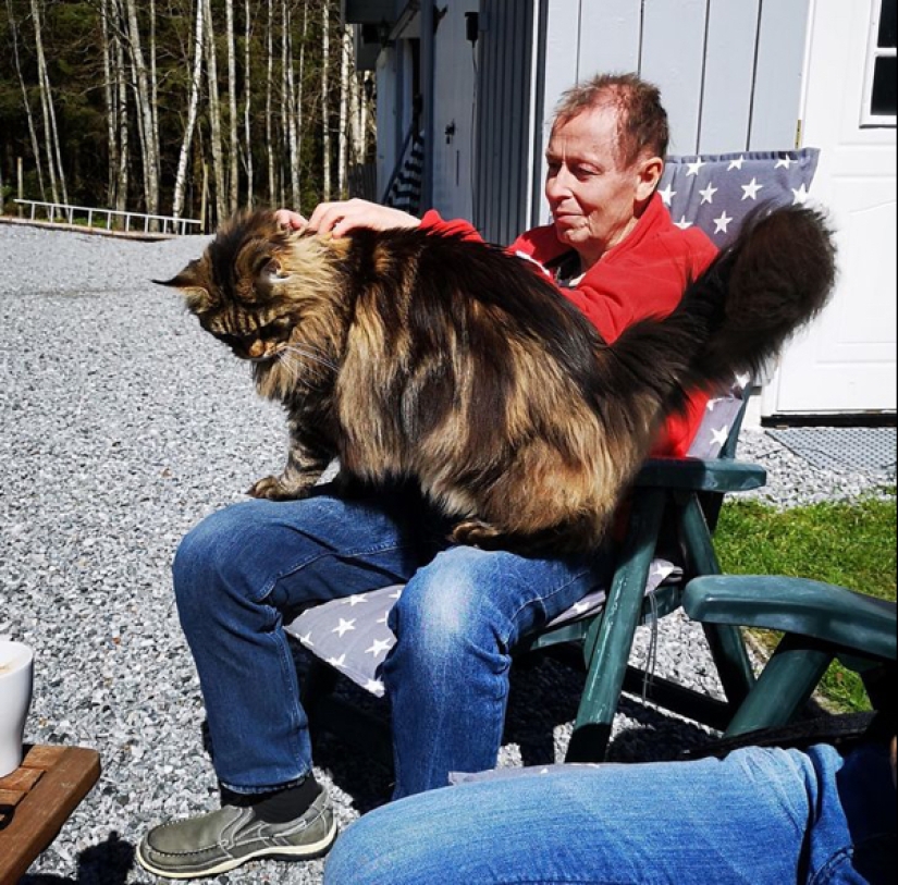 22 photos of very large animals that have forgotten that they are big 22 photos of very large animals that have forgotten that they are big