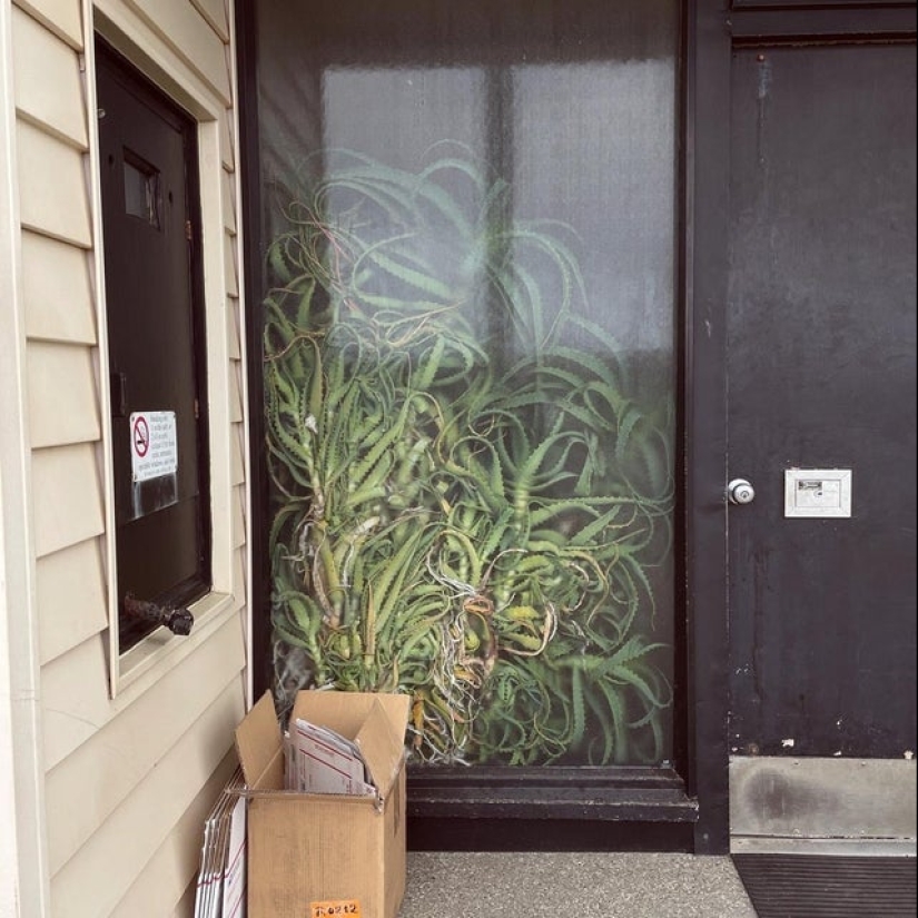 22 photos of very strange and even frightening things that actually exist