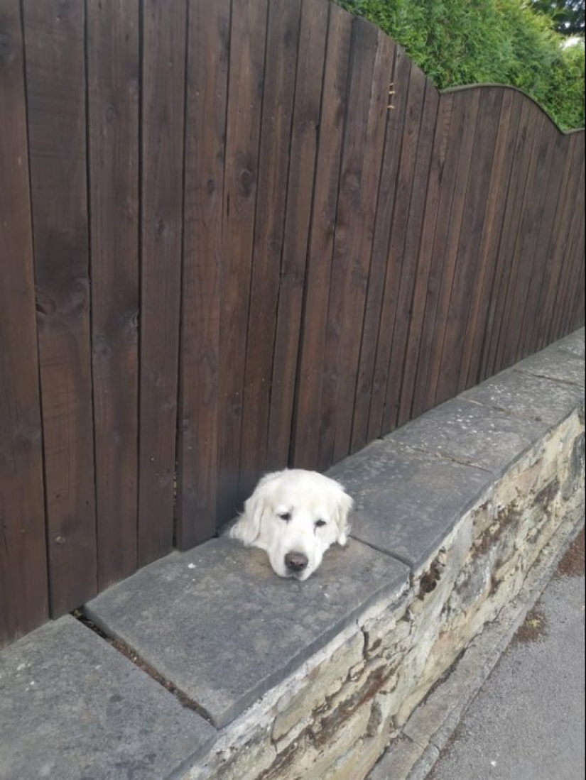 22 photos showing failures in the matrix 22 photos showing failures in the matrix