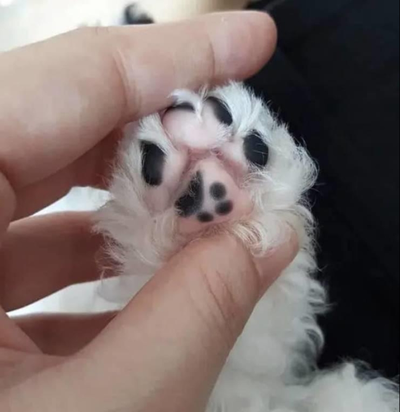 22 photos showing failures in the matrix 22 photos showing failures in the matrix