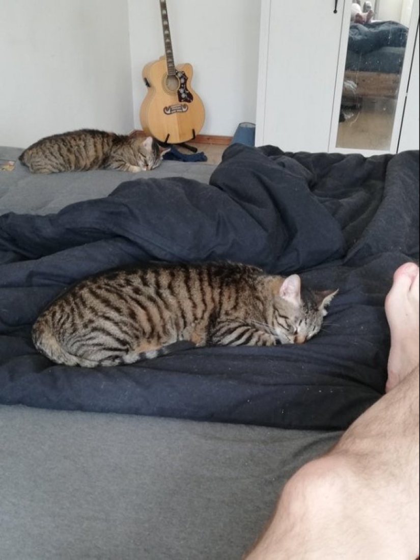 22 photos showing failures in the matrix 22 photos showing failures in the matrix