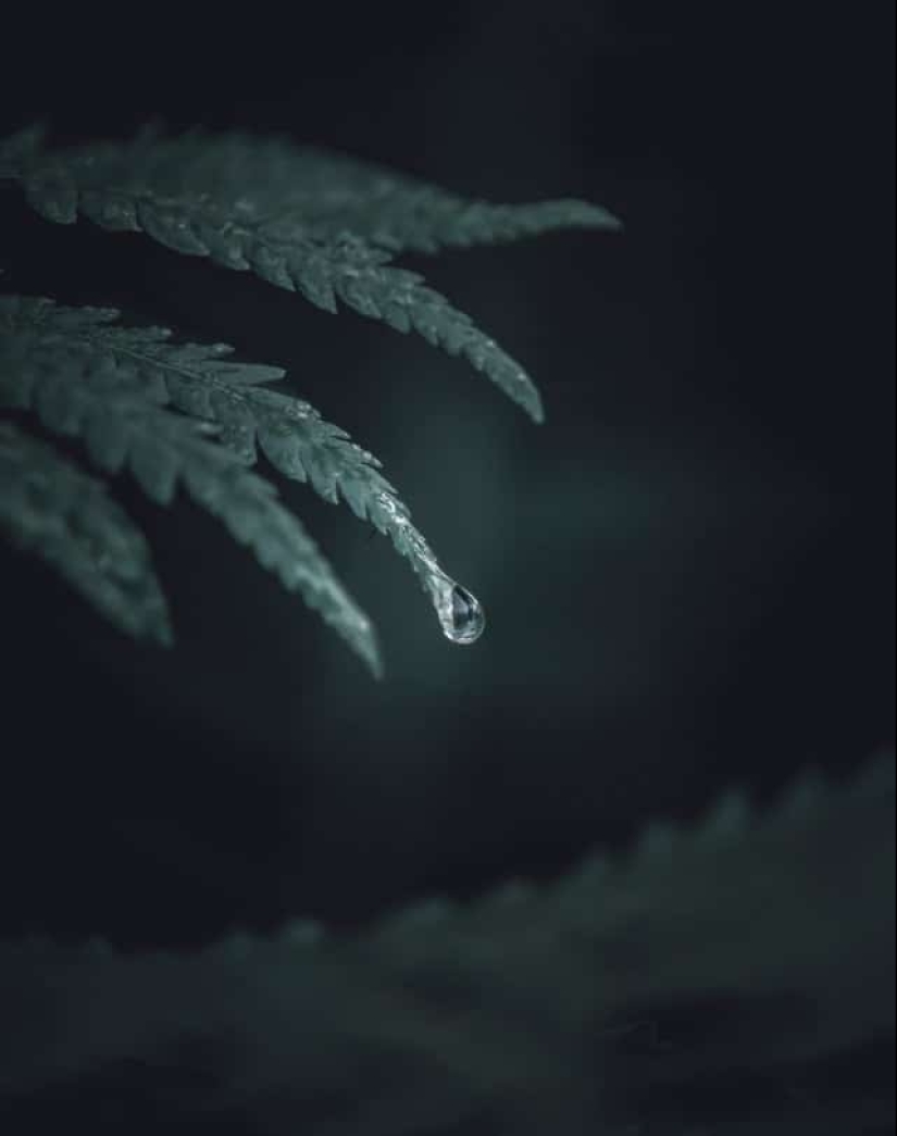 22 photos taken at the most opportune moment 22 photos taken at the most opportune moment