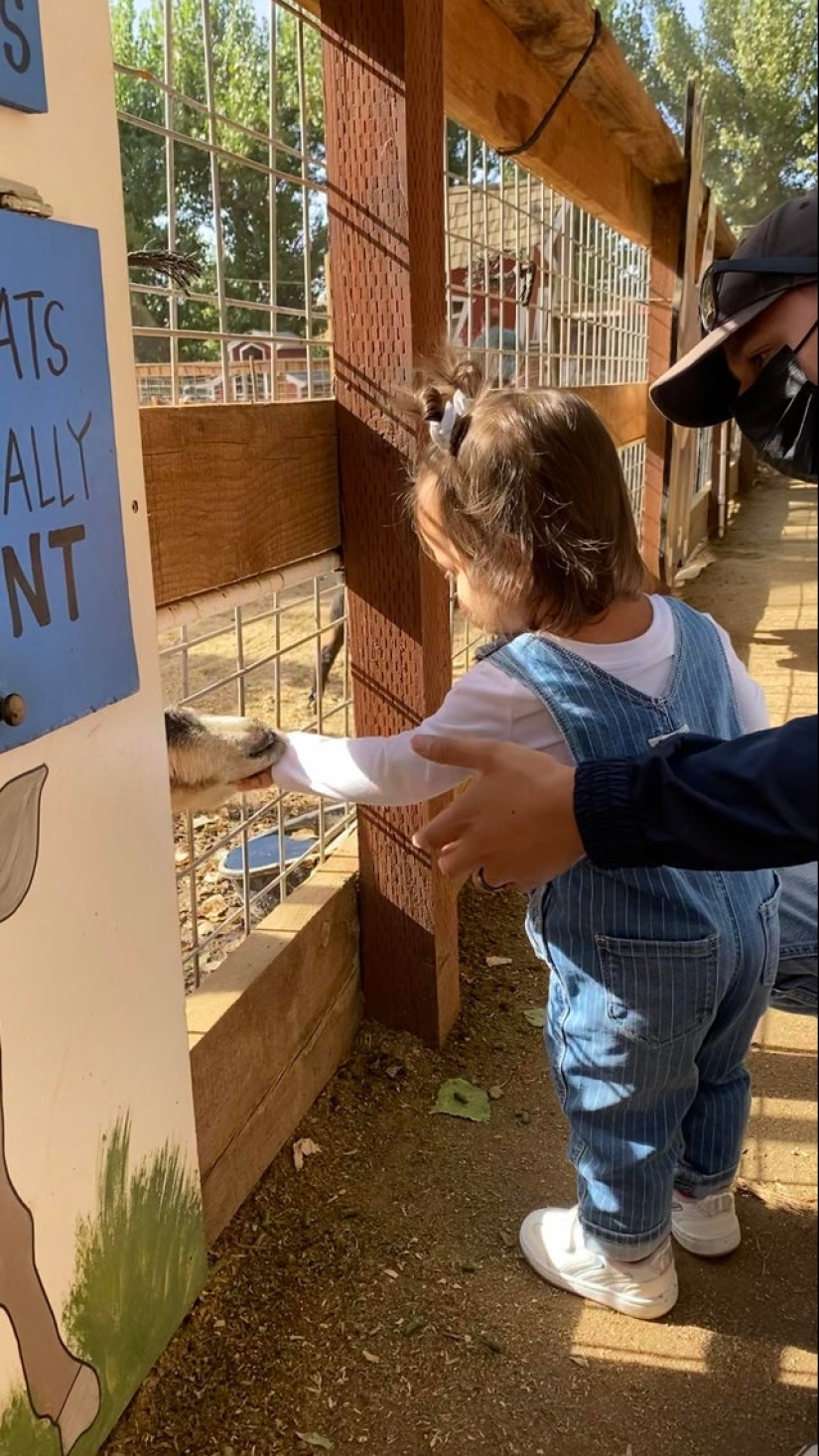 22 photos taken at the most opportune moment 22 photos taken at the most opportune moment