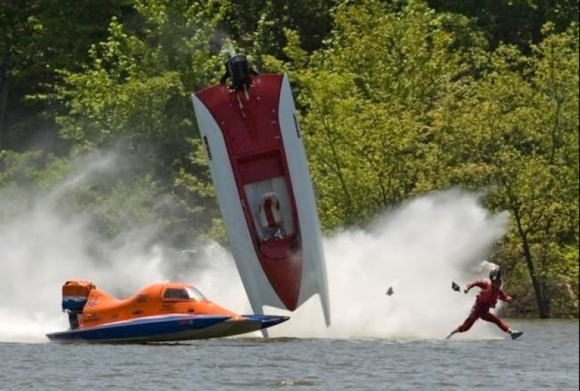 22 photos taken at the most opportune moment 22 photos taken at the most opportune moment