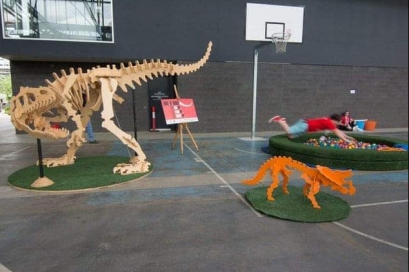 22 photos taken at the most opportune moment 22 photos taken at the most opportune moment