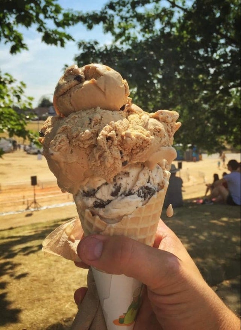 22 photos taken at the most opportune moment 22 photos taken at the most opportune moment