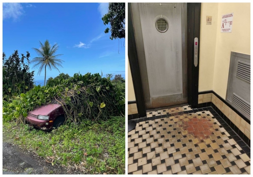 22 photos that demonstrate all the wonders of genetics