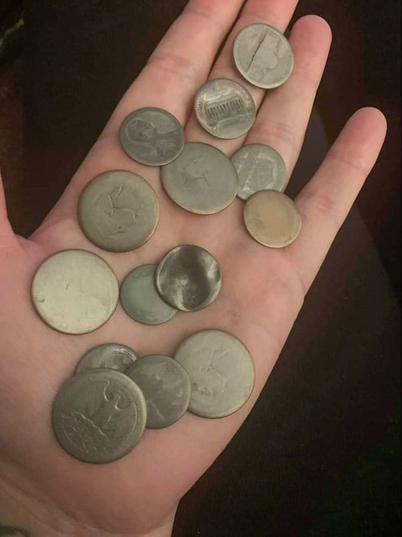 22 photos that demonstrate all the wonders of genetics