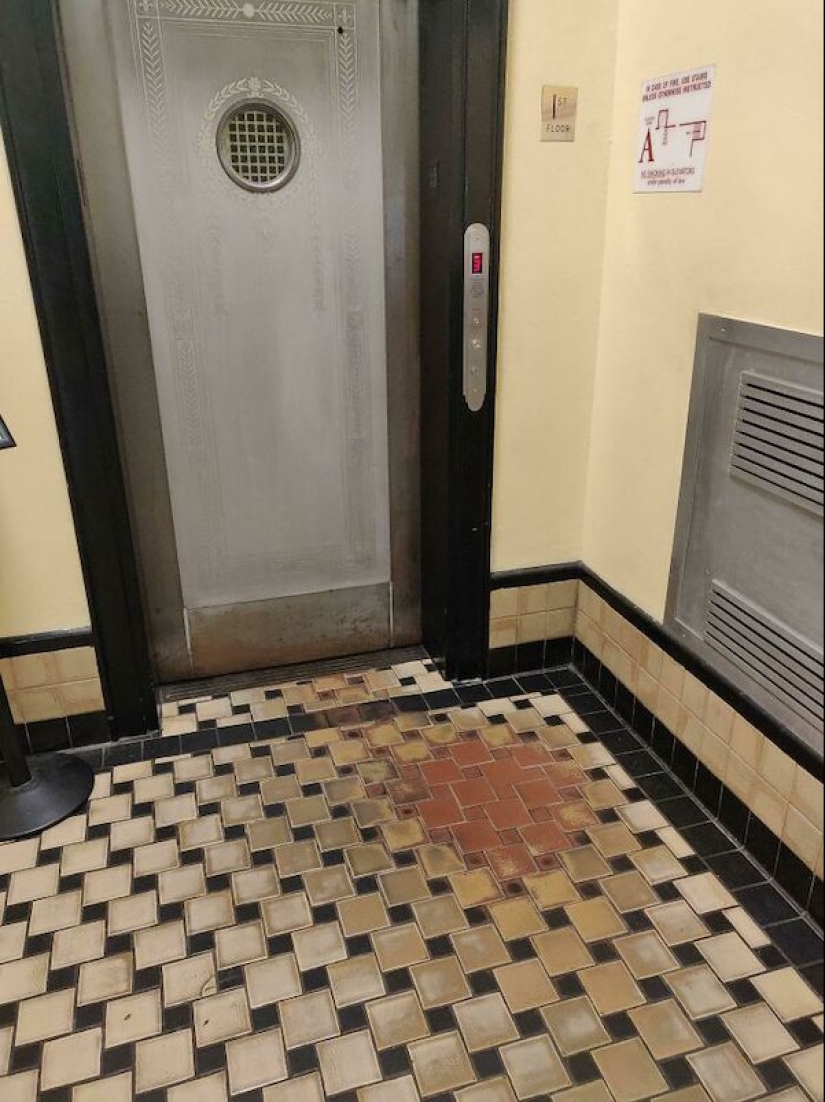 22 photos that demonstrate all the wonders of genetics