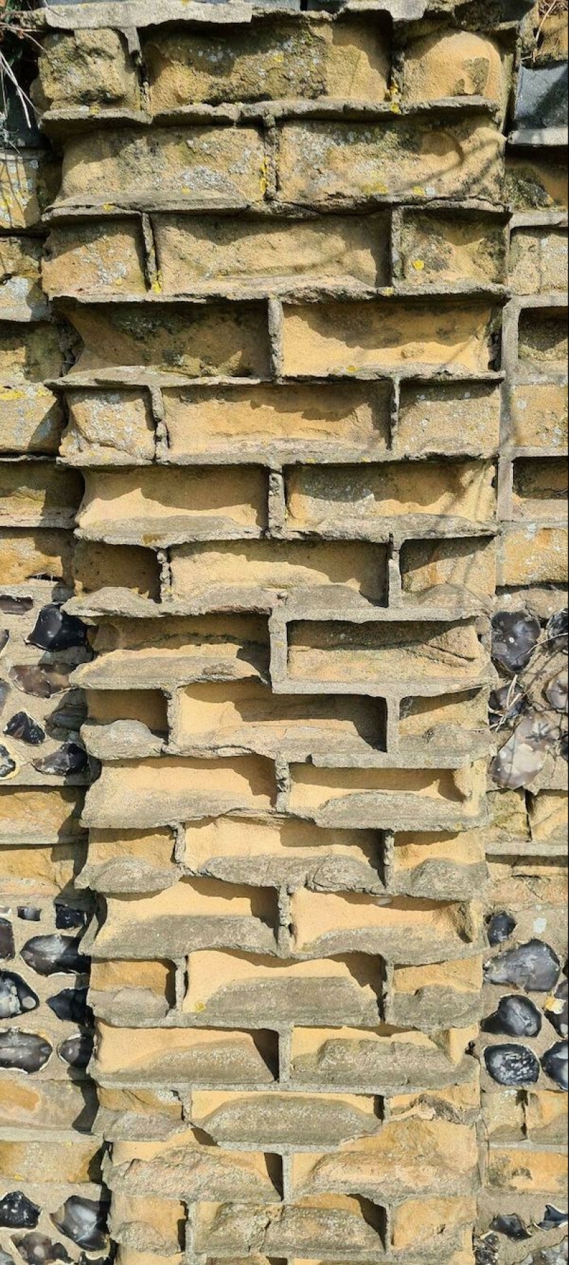 22 photos that demonstrate all the wonders of genetics