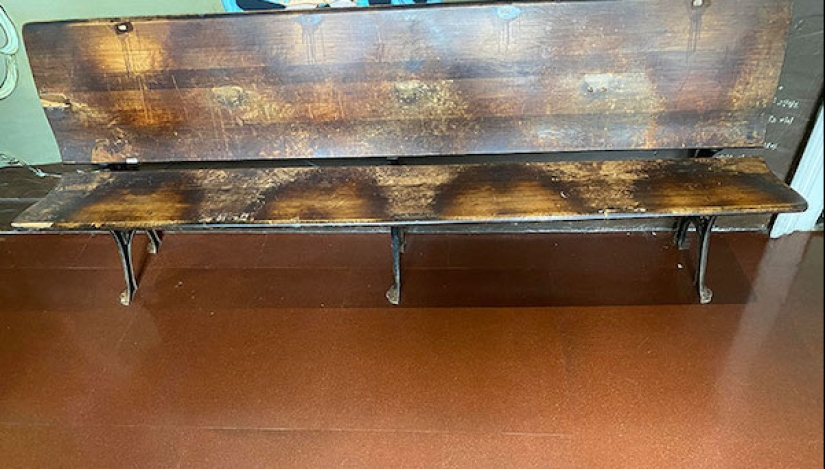 22 photos that demonstrate all the wonders of genetics