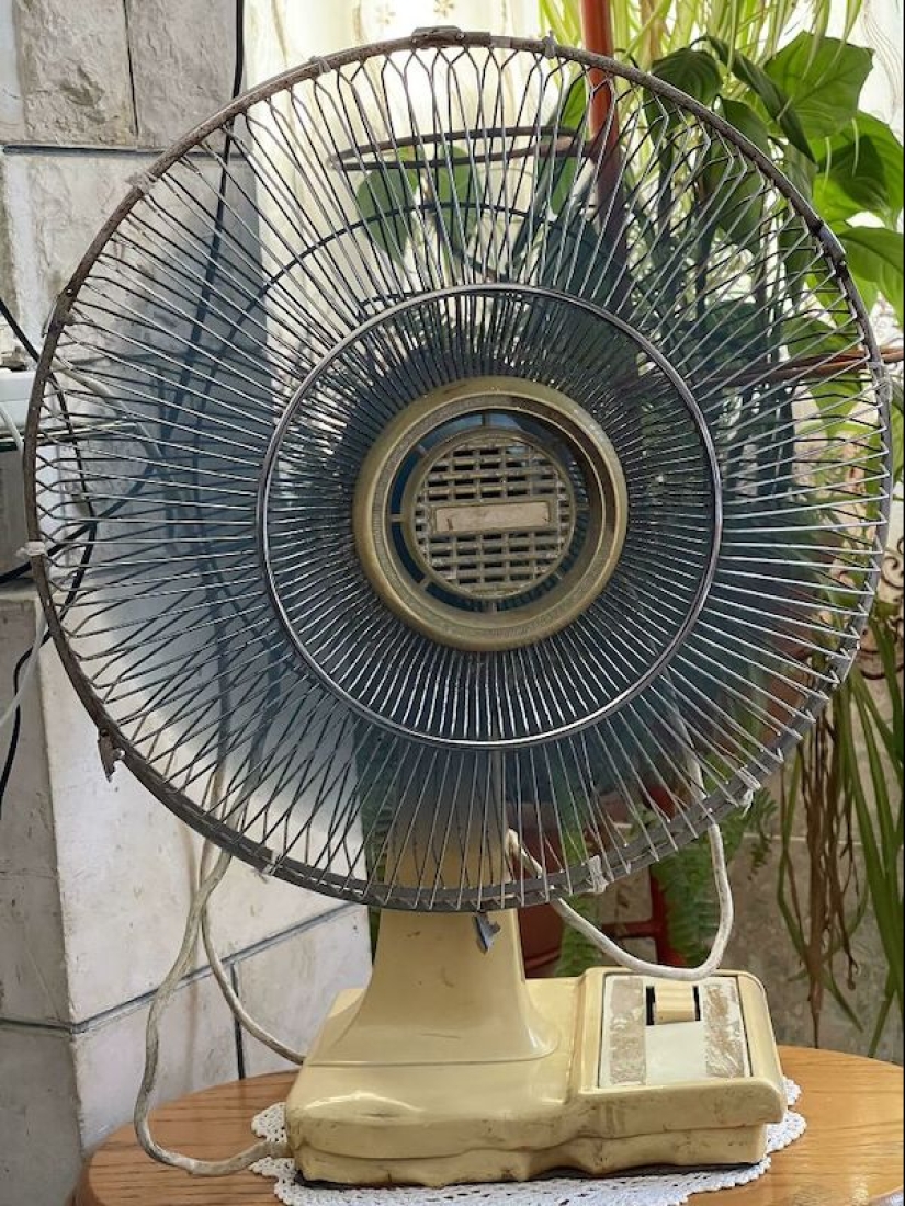 22 photos that demonstrate all the wonders of genetics