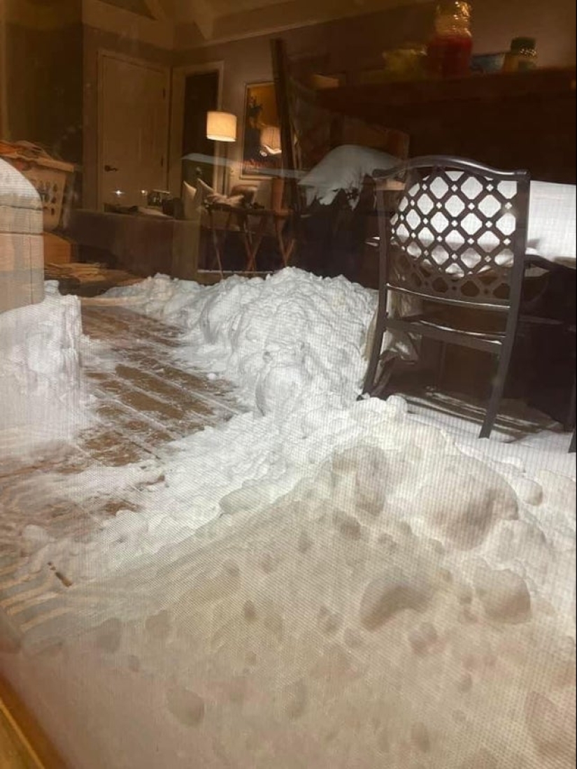 22 photos that have acquired a special meaning due to an unsuccessful angle