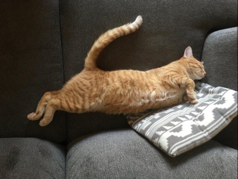 22 photos that have acquired a special meaning due to an unsuccessful angle