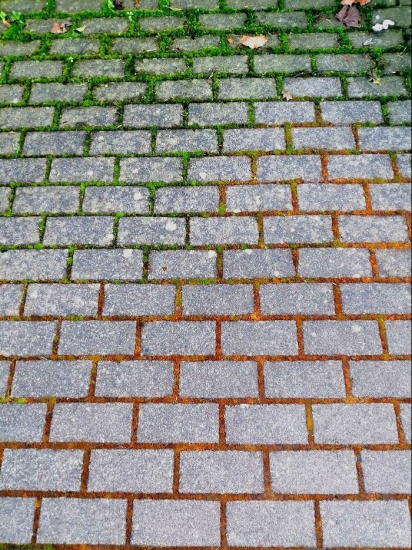 22 photos that look like photoshop, but they are real 22 photos that look like photoshop, but they are real